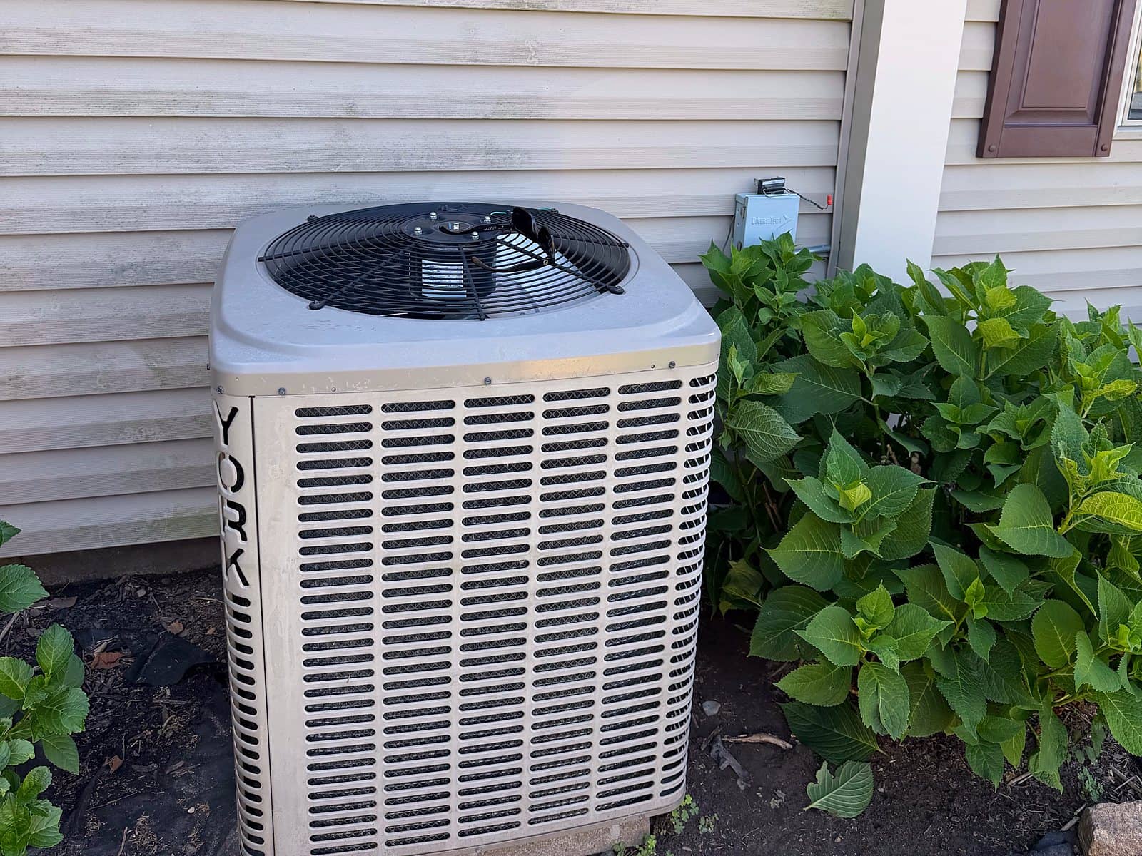Heat pump outdoor unit beside hydrangeas